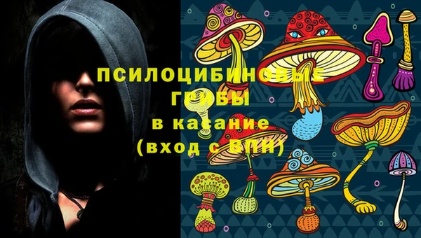 спайс Осташков