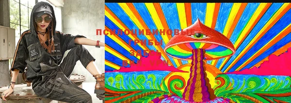 соль ск Осинники