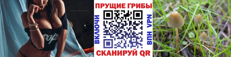 darknet формула  Белый  Псилоцибиновые грибы ЛСД 